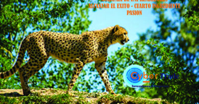 Academia de Emprendedores – Alcanzar el Éxito – LA PASION