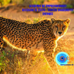 Academia de Emprendedores – Alcanzar el Exito – ENFOQUE