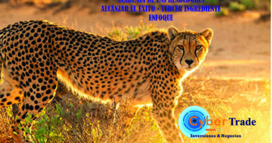 Academia de Emprendedores – Alcanzar el Exito – ENFOQUE