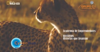 ACADEMIA DE EMPRENDEDORES ACADEMIA DE EMPRENDEDORES